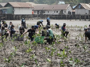 IMIP Padukan Pelestarian Mangrove dan Kemandirian Ekonomi Warga