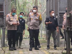 Kunjungi Nyaru Menteng, Polri Janji Perkuat Perlindungan Orang Utan