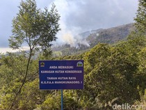 Karhutla Gunung Lawu Capai 885 Hektare