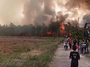Video: Suasana Mencekam Karhutla Kepung Permukiman Warga di Barito Kuala
