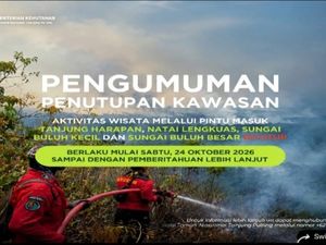 Karhutla Meluas, 4 Pintu Wisata TN Tanjung Puting Ditutup Mulai 24 Oktober