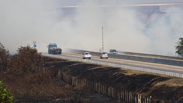 Asap Kebakaran Lahan Tutupi Tol Semarang-Batang, Jarak Pandang Terbatas