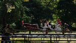 Keliling Central Park Naik Kereta Kuda Terancam Tinggal Kenangan