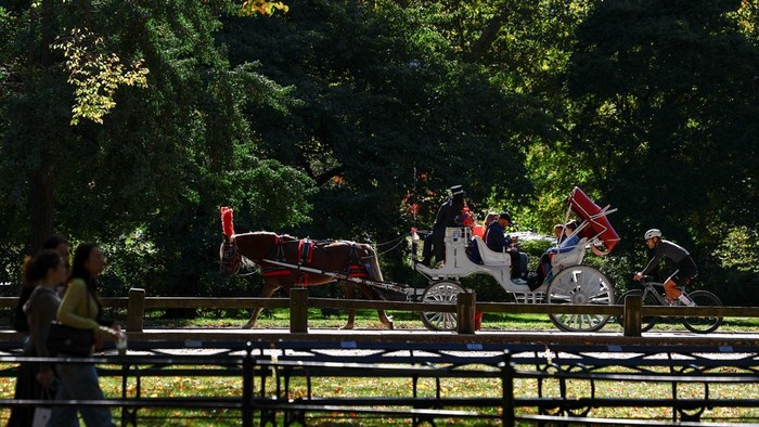 Keliling Central Park Naik Kereta Kuda Terancam Tinggal Kenangan A horse pulls a carriage through Central Park in New York City, US, October 15, 2026. REUTERS/Jeenah Moon