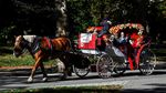 Keliling Central Park Naik Kereta Kuda Terancam Tinggal Kenangan