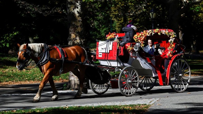 A horse pulls a carriage through Central Park in New York City, US, October 21, 2026. REUTERS/Eduardo Munoz