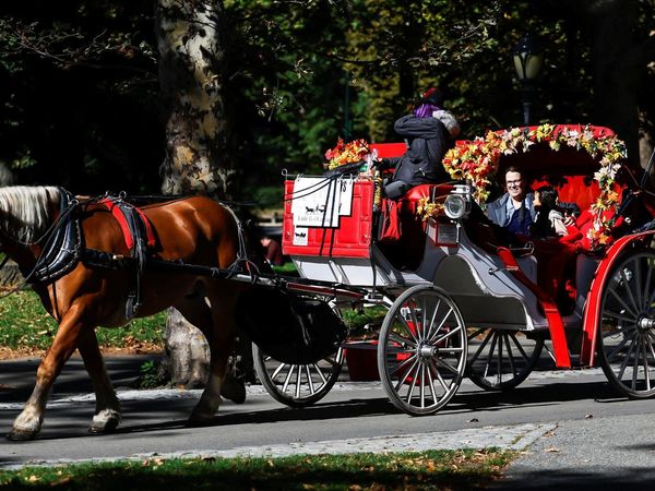 Keliling Central Park Naik Kereta Kuda Terancam Tinggal Kenangan