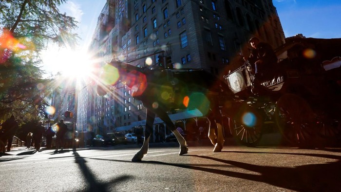 Keliling Central Park Naik Kereta Kuda Terancam Tinggal Kenangan A horse pulls a carriage as they arrive to Central Park in New York City, US, October 21, 2026. REUTERS/Eduardo Munoz