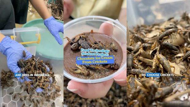 Keren! Mahasiswi di Jakarta Bikin Es Krim Cokelat dari Jangkrik