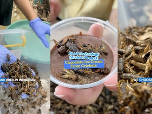 Unik! Mahasiswi Jakarta Ini Bikin Es Krim Jangkrik hingga Brownies Keluak