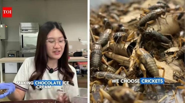 Keren! Mahasiswi di Jakarta Bikin Es Krim Cokelat dari Jangkrik