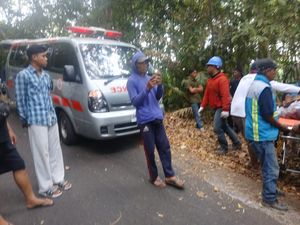 Motor Hantam Pohon di Turunan Curam Buleleng, 2 Orang Tewas
