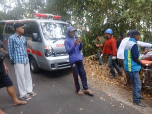 Motor Hantam Pohon di Turunan Curam Buleleng, 2 Orang Tewas