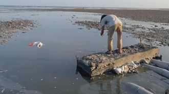 Limbah Tambak Udang Dibuang ke Laut Sumbawa, Pemprov NTB Ancam Sanksi Berat