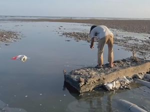 Viral Tambak Udang Buang Limbah ke Laut Sumbawa, Pemprov NTB Turun Tangan
