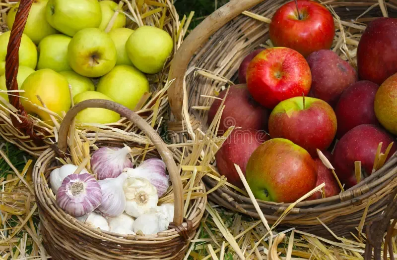 5 Makanan Tradisional Ini Dianggap Simbol Kesehatan hingga Umur Panjang