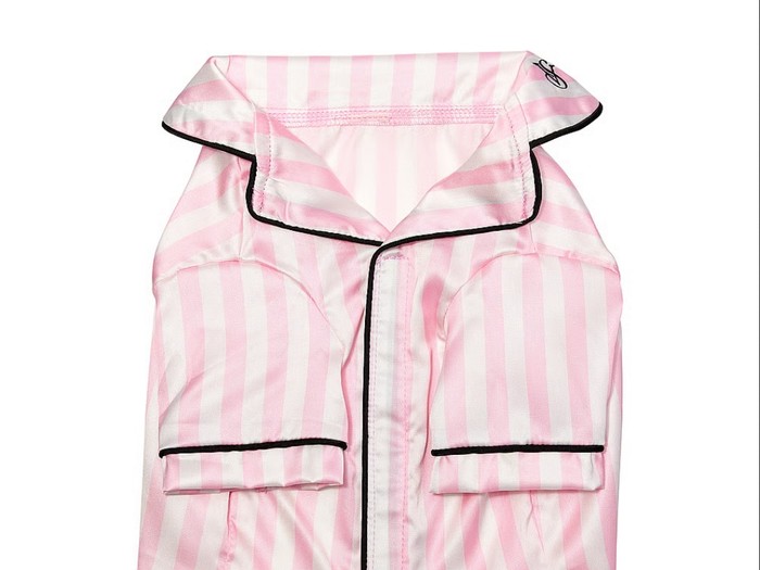 Victorias Secret Rilis Baju Khusus Anabul.