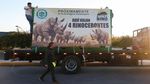 Wami, Badak Putih yang Menyeberangi Atlantik ke Meksiko