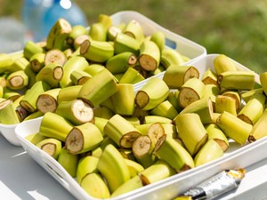 Kenapa Pisang Selalu Ada di Event Lari? Ini Alasan Logisnya
