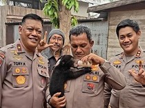 Karhutla Pisahkan Anak Beruang Madu Bernama Meli dari Induknya