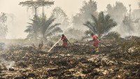 Titik panas dan kebakaran hutan serta lahan di Indonesia masih terkonsentrasi di sejumlah provinsi prioritas seperti Sumatera Selatan, Kalimantan Tengah, Jambi, Aceh, hingga Papua. Kondisi paling parah melanda Sumatera Selatan, tempat upaya pemadaman darat dan udara terus dilakukan guna menanggulangi ratusan hektare area gambut yang membara. ANTARA FOTO/Wahdi Septiawan Titik panas dan kebakaran hutan serta lahan di Indonesia masih terkonsentrasi di sejumlah provinsi prioritas seperti Sumatera Selatan, Kalimantan Tengah, Jambi, Aceh, hingga Papua. Kondisi paling parah melanda Sumatera Selatan, tempat upaya pemadaman darat dan udara terus dilakukan guna menanggulangi ratusan hektare area gambut yang membara. ANTARA FOTO/Wahdi Septiawan