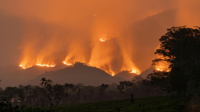 Api membakar vegetasi di kawasan Gunung Arjuno, Lawang, Kabupaten Malang, Jawa Timur, Selasa (20/10/2026). Berdasarkan data UPT Tahura Raden Soerjo, lebih dari 100 titik api terpantau dalam kebakaran yang berlangsung sejak Kamis (15/10) tersebut, sem