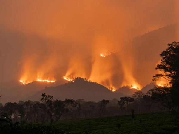 Bingkai Sepekan: Puncak Krisis Karhutla hingga Gejolak Pasar Saham