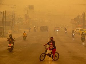 Video: IDI Minta Pemerintah Sediakan Masker untuk Warga Terdampak Karhutla