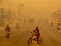 Video: IDI Minta Pemerintah Sediakan Masker untuk Warga Terdampak Karhutla
