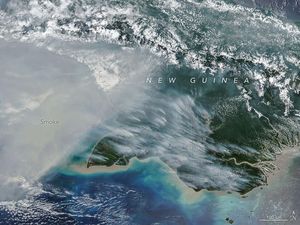 NASA Ungkap Kebakaran Papua, Asap Tebal Terlihat dari Satelit