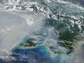 NASA Ungkap Kebakaran Papua, Asap Tebal Terlihat dari Satelit