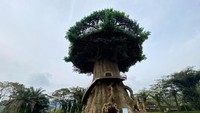 Enchanting Valley Tawarkan Wisata Alam dan Kuliner Dekat Jakarta
