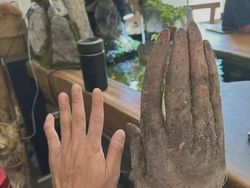 Ada yang Janggal! Foto-foto Ini Bikin Bulu Kuduk Berdiri