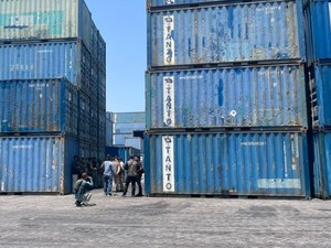 Kemenhut Amankan 23 Kontainer Muat Kayu Ilegal Asal Nabire di Surabaya