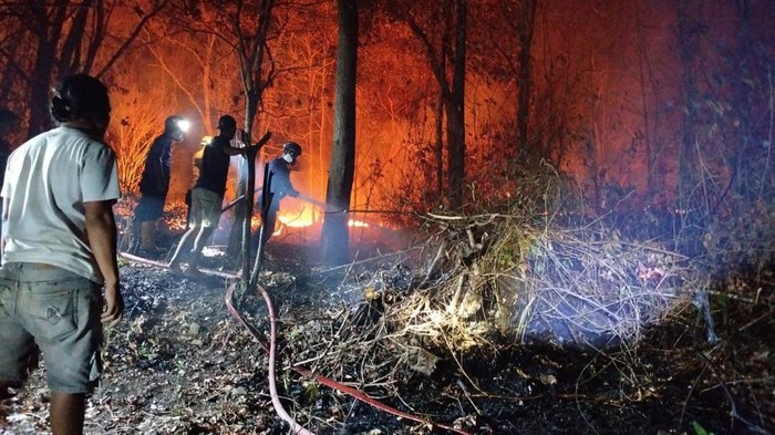 Kebakaran hutan di Gunung Lowa, Sidrap, Sulsel, berlangsung 3 hari.