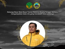 Pilu 6 Nyawa Melayang Saat Padamkan Dahsyatnya Karhutla Bromo