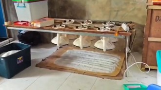 Penampakan Lab Narkoba 1,2 Ton di Pidie Aceh yang Dibongkar Polri hingga BNN