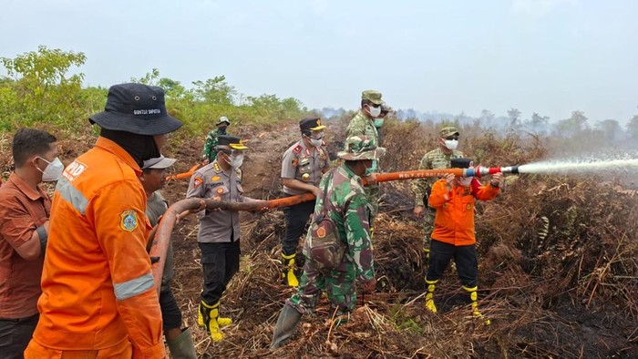 Petugas memantau dan memadamkan api karhutla di TN Berbak Sembilang, Jambi