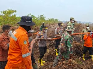 Patroli Udara, Satgas Temukan Tiga Titik Karhutla di TN Berbak Sembilang