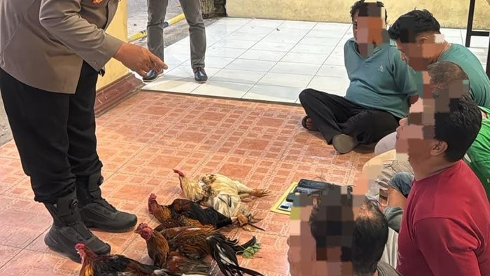 Polisi mengamankan 5 orang usai menggerebek arena judi sabung ayam di Makassar.