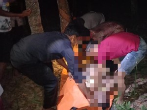 Pria di Mesuji Lampung Tewas Diamuk Massa Usai Kepergok Curi Getah Karet