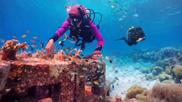 Tim Environmental Marine sedang melakukan pemantauan kualitas perairan dan ekosistem laut (Dok Harita Nickel) Tim Environmental Marine sedang melakukan pemantauan kualitas perairan dan ekosistem laut (Dok Harita Nickel)