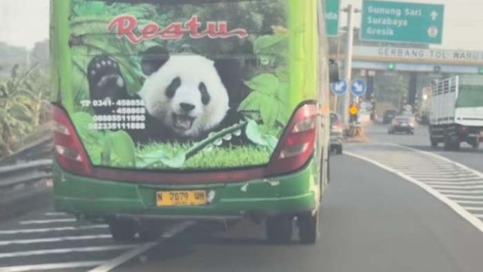 Video viral Bus Restu pecah ban lanjut melaju bahkan menyalip lewat bahu jalan di Tol Sidoarjo.