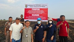 6 Lahan Tebu Korporasi Terbakar, DLH Lampung Pasang Plang Peringatan