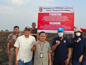 6 Lahan Tebu Korporasi Terbakar, DLH Lampung Pasang Plang Peringatan