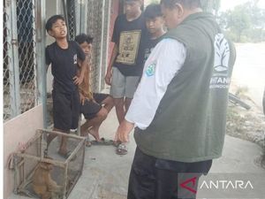 Bekantan Nyasar ke Rumah Warga Samarinda, 4 Bocah Langsung Lapor BKSDA
