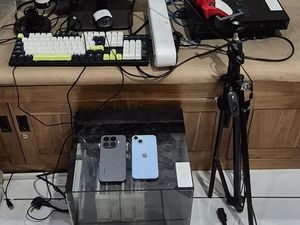 Tepergok Taruhan Tebak Skor Lewat Live TikTok, Pemuda Kudus Ditangkap