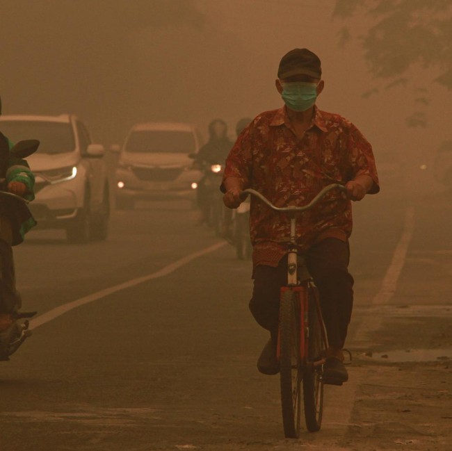 Kabut Asap Karhutla Selimuti Palangka Raya, Jarak Pandang Terbatas