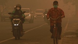 Kabut Asap Karhutla Selimuti Palangka Raya, Jarak Pandang Terbatas