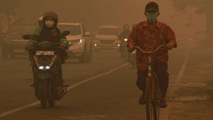 Kabut Asap Karhutla Selimuti Palangka Raya, Jarak Pandang Terbatas Kabut Asap Karhutla Selimuti Palangka Raya, Jarak Pandang Terbatas